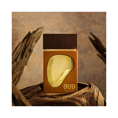 Ahmed Al Maghribi Bombay Oud 80ml EDP – Unisex Perfume, Woody & Spicy Scent - megamartuae