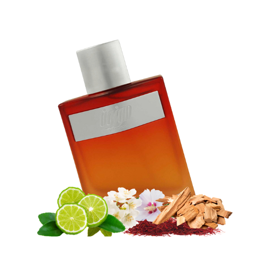 Ahmed Al Maghribi Mauzoon EDP – Unisex Perfume, Floral & Amber Scent - megamartuae